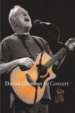 Watch David Gilmour in Concert - Live at Robert Wyatt's Meltdown Alluc