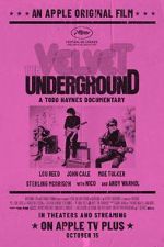 Watch The Velvet Underground Alluc