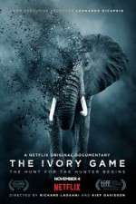 Watch The Ivory Game Alluc