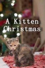 Watch A Kitten Christmas Alluc
