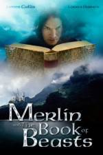 Watch Merlin and the Book of Beasts Alluc