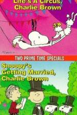 Watch Snoopy's Getting Married Charlie Brown Alluc