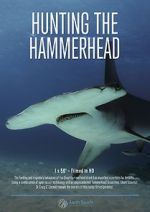 Watch Hunting the Hammerhead Alluc