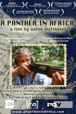 Watch A Panther in Africa Alluc