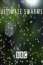 Watch Ultimate Swarms Alluc