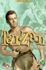 Watch Tarzan and the Trappers Alluc