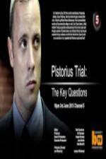 Watch Pistorius Trial: The Key Questions Alluc