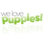 Watch We Love Puppies Alluc