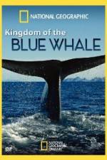 Watch National Geographic Kingdom of Blue Whale Alluc