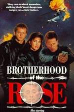 Watch Brotherhood of the Rose Alluc