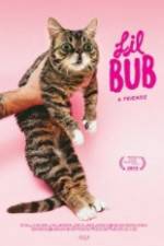 Watch Lil Bub & Friendz Alluc