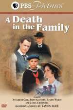 Watch A Death in the Family Alluc