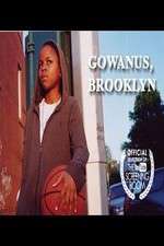 Watch Gowanus, Brooklyn Alluc