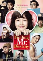 Watch Finding Mr. Destiny Alluc