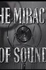 Watch The Miracle of Sound Alluc
