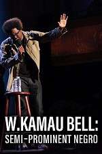 Watch W. Kamau Bell: Semi-Promenint Negro Alluc