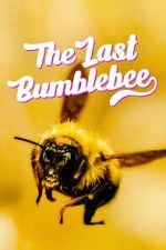 Watch The Last Bumblebee Alluc