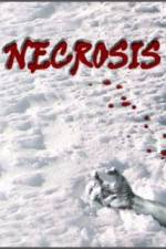 Watch Necrosis Alluc
