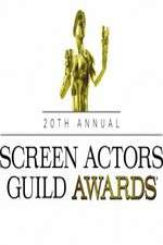 Watch The 20th Annual Screen Actors Guild Awards Alluc