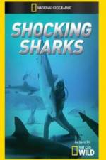 Watch Shocking Sharks Alluc