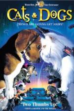 Watch Cats & Dogs Alluc
