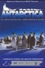 Watch Antarctica Alluc