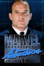 Watch Marvel One-Shot The Consultant Alluc