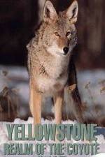 Watch Yellowstone: Realm of the Coyote Alluc