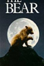 Watch The Bear - (L'ours) Alluc