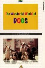Watch The Wonderful World of Dogs Alluc