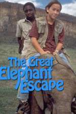 Watch The Great Elephant Escape Alluc