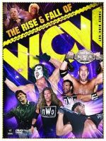 Watch WWE: The Rise and Fall of WCW Alluc