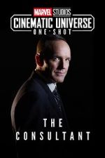 Watch Marvel One-Shot: The Consultant Alluc