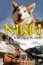 Watch Nikki Wild Dog of the North Alluc