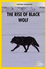 Watch The Rise of Black Wolf Alluc