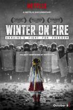 Watch Winter on Fire Alluc