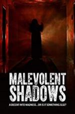 Watch Malevolent Shadows Alluc