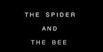 Watch The Spider and the Bee Alluc