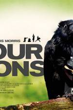 Watch Four Lions Alluc