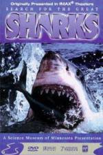Watch Search for the Great Sharks Alluc