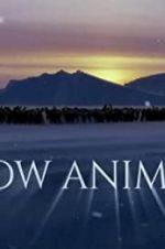 Watch Snow Animals Alluc