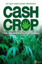 Watch Cash Crop Alluc