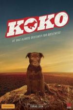 Watch Koko: A Red Dog Story Alluc