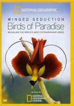 Watch Winged Seduction: Birds of Paradise Alluc