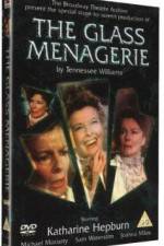 Watch The Glass Menagerie Alluc