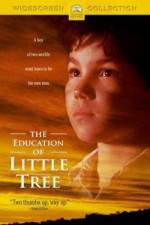 Watch The Education of Little Tree Alluc