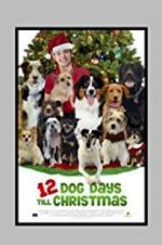 Watch 12 Dog Days Till Christmas Alluc