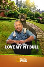 Watch Cesar Millan: Love My Pit Bull Alluc