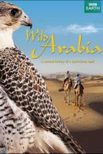 Watch Wild Arabia Alluc