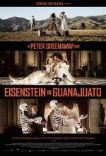 Watch Eisenstein in Guanajuato Alluc